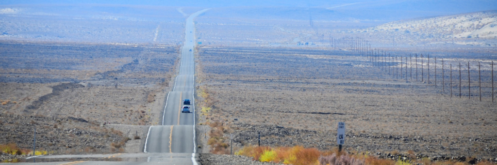 Joshua Tree traffic ticket