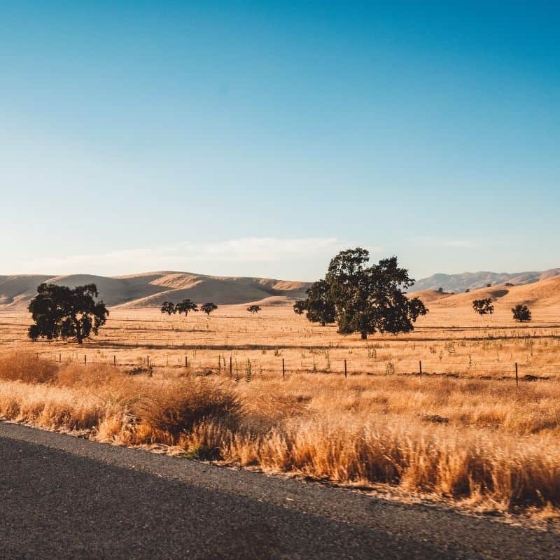 kern county traffic tickets